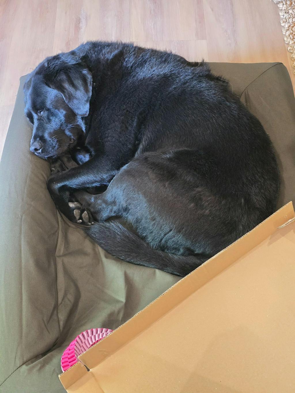 Quick Cover - Cooling Seaweed