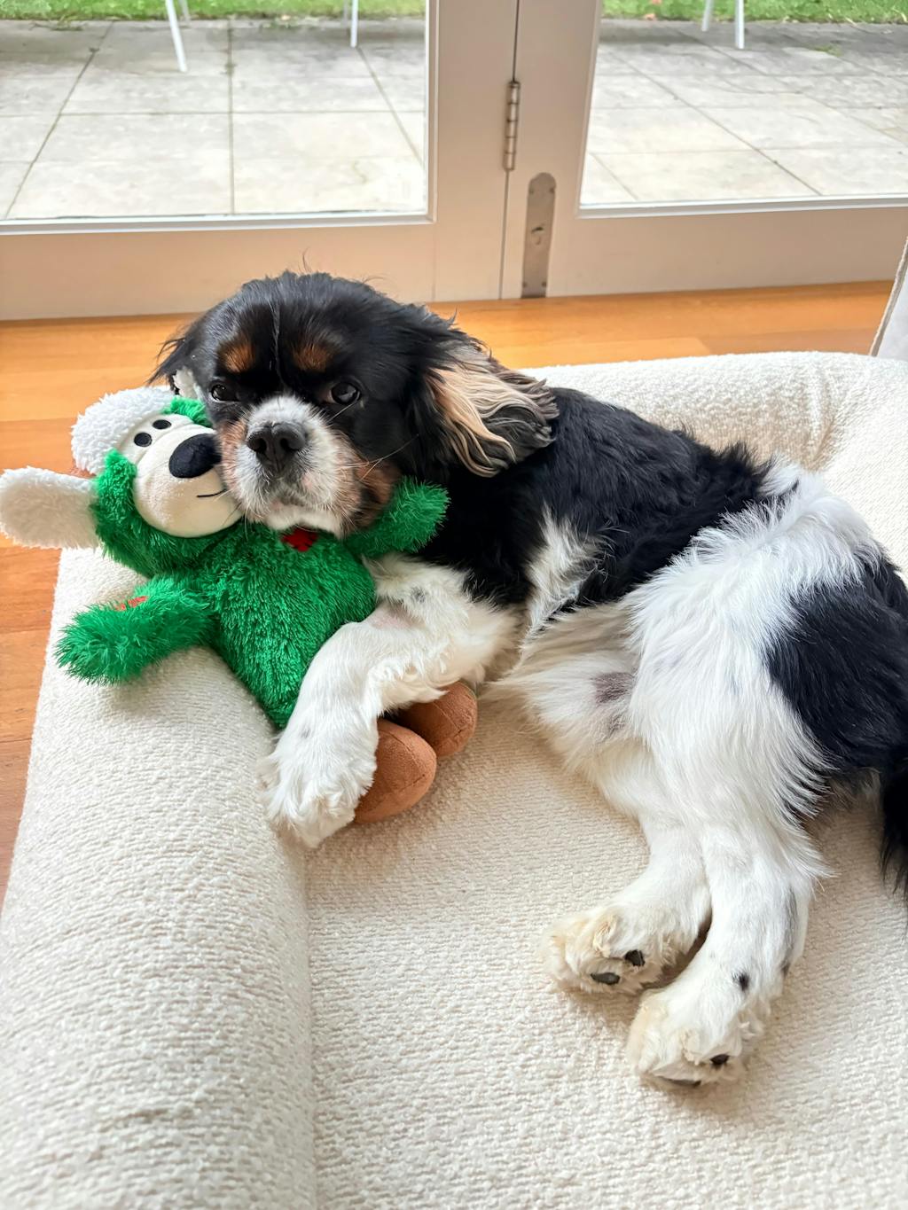 50% OFF Orthopaedic Bed Promotion