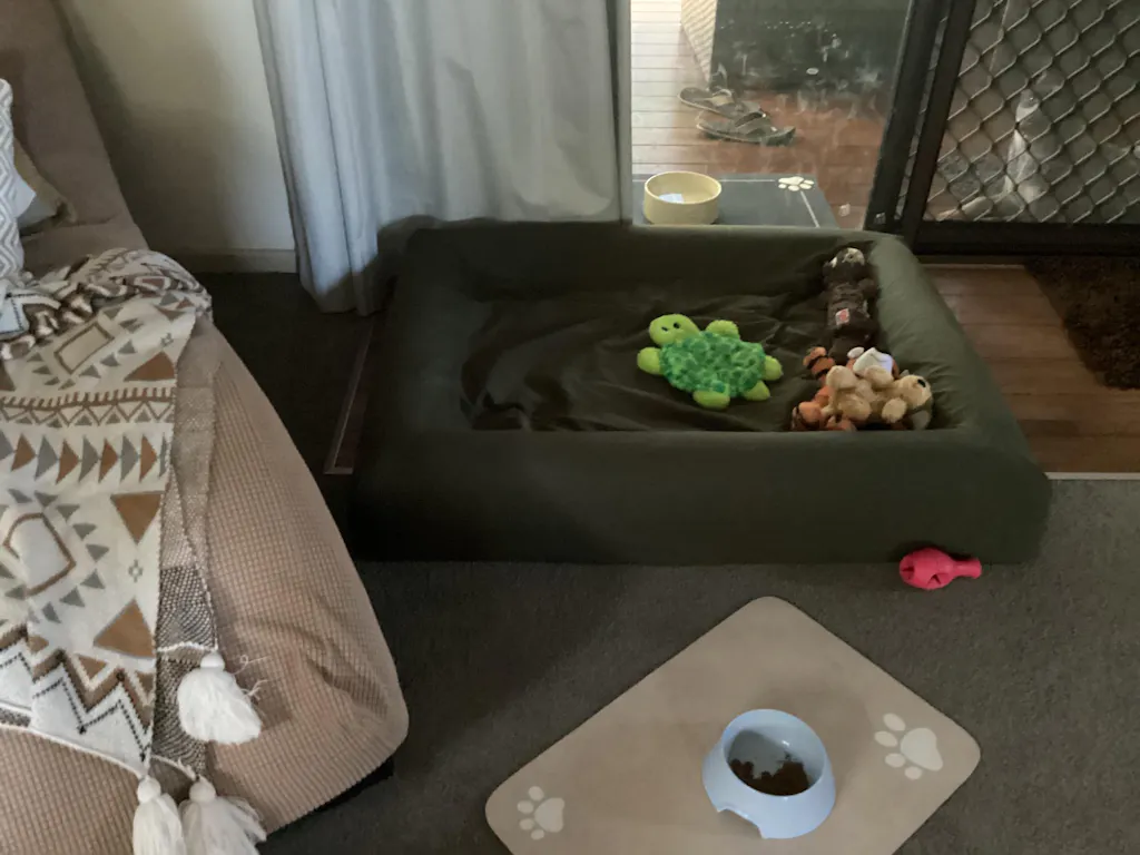 Cooling Dog Bed - Seaweed Memory Foam