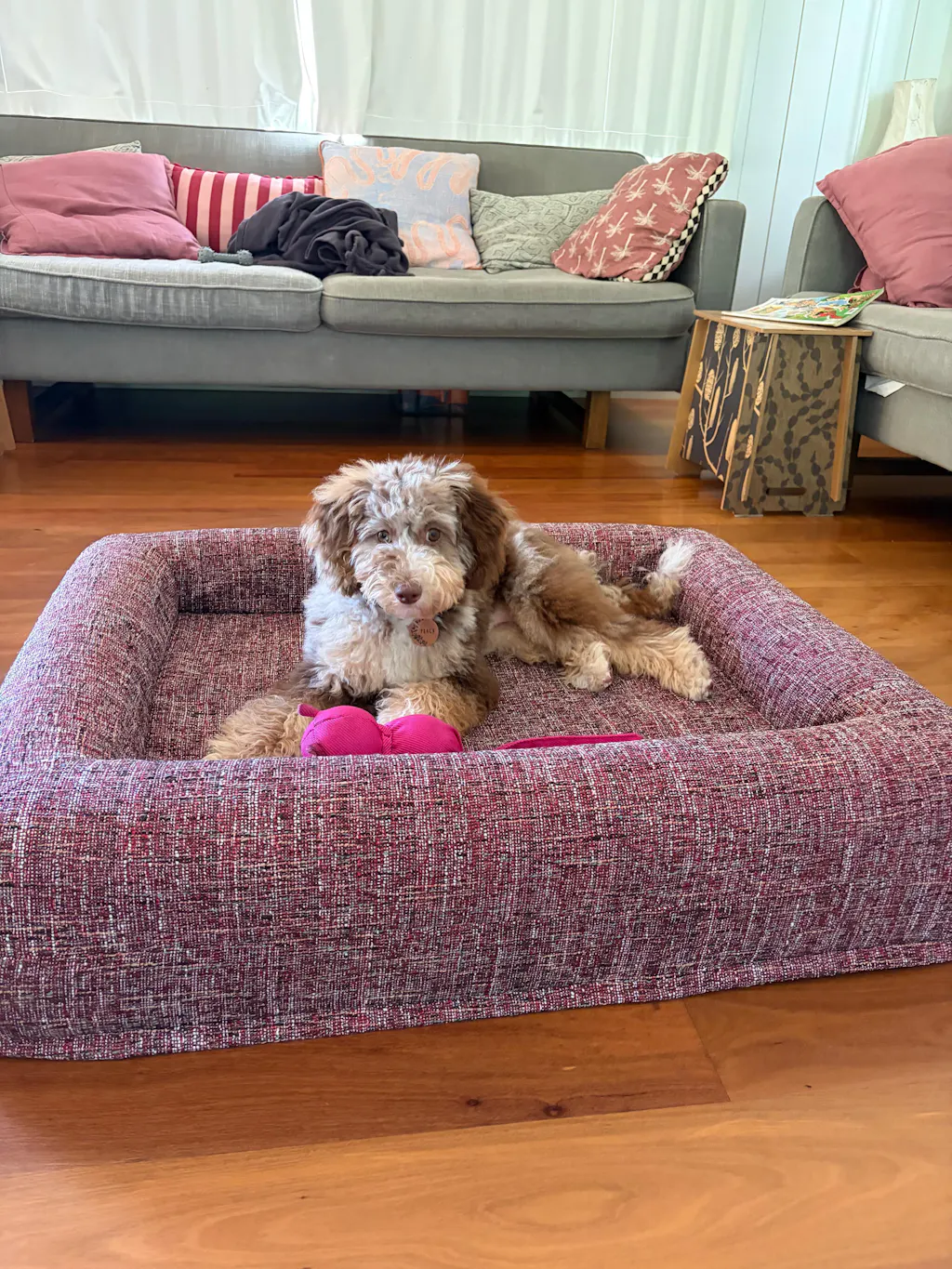 Memory Foam Dog Bed - Bouclé Speckle Red