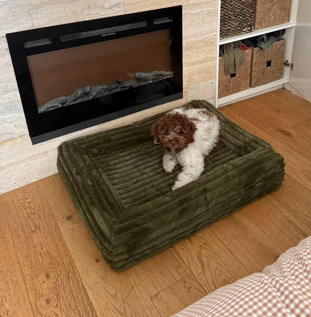 Memory Foam Dog Bed - Puffer Fern