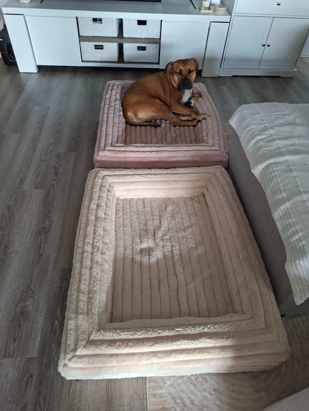Memory Foam Dog Bed - Puffer Rosewater
