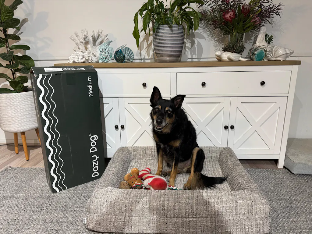 Memory Foam Dog Bed - Bouclé Speckle Mono