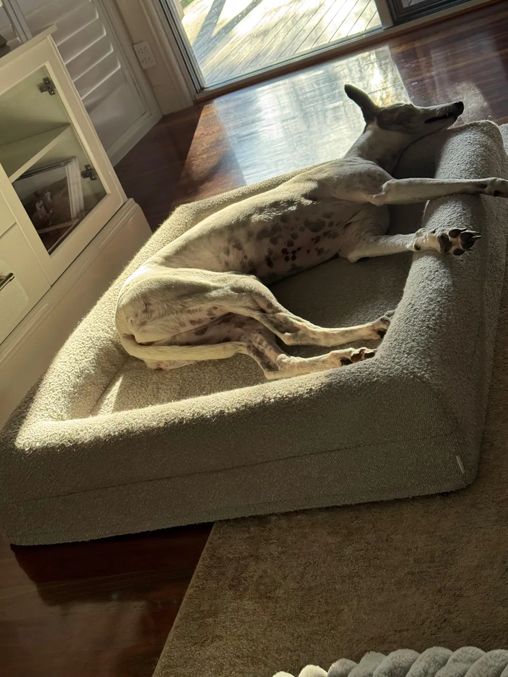 Memory Foam Dog Bed - Bouclé Pebble
