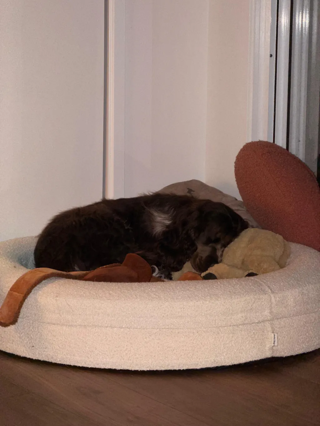 Round Memory Foam Dog Bed - Bouclé Ivory