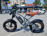 JANSNO X70 20" Fat Tires Elektrofahrräder 750W Motor 48V 14Ah+20Ah Dual Batterie