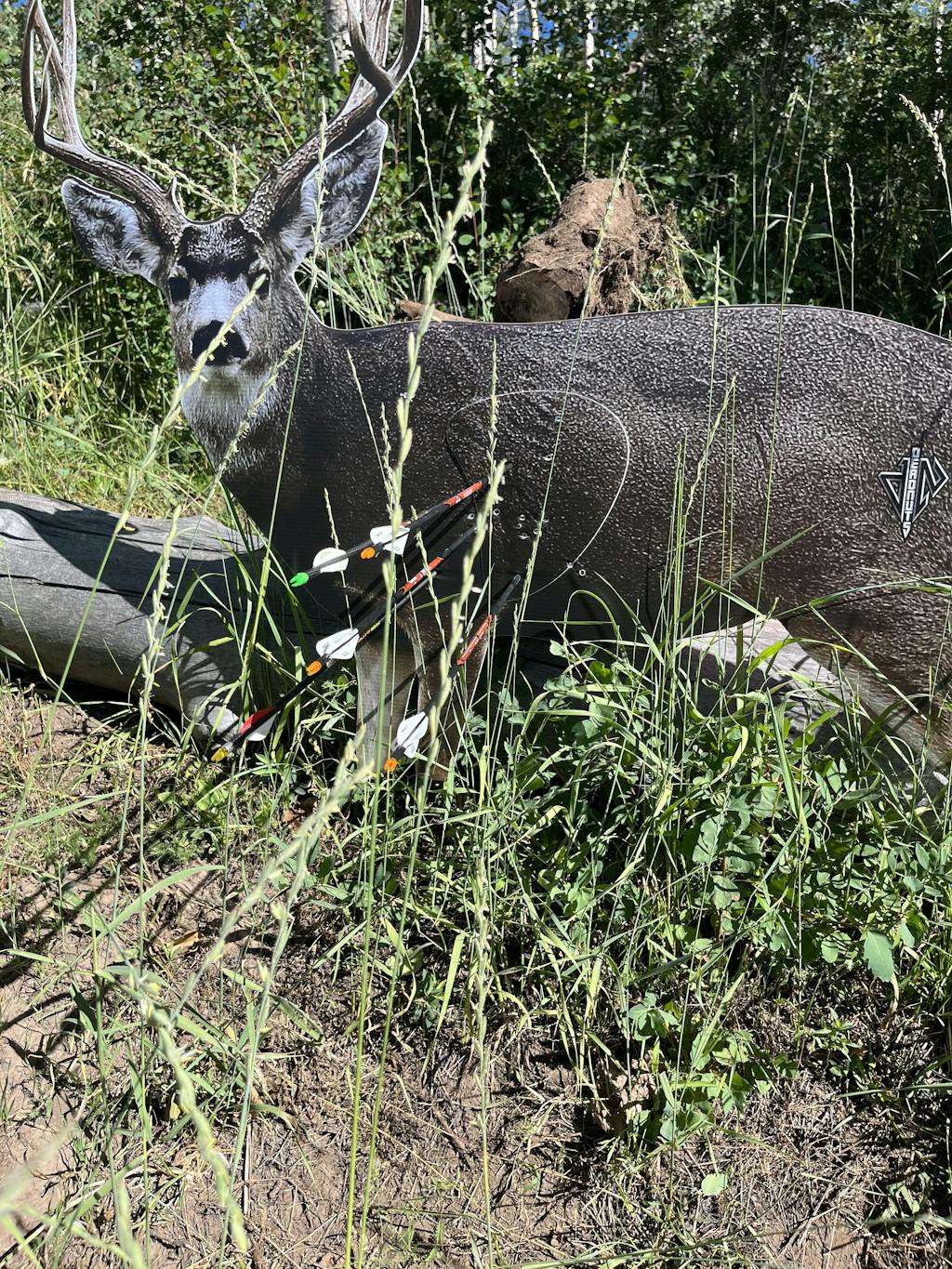 2D Mule Deer Broadside Target