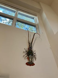 31-Inch Handmade Bamboo Lobster Model for Wall Decoration
