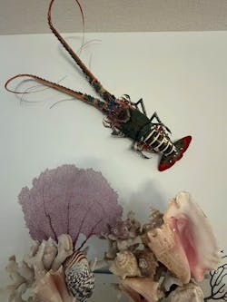 50-Inch Handmade Bamboo Lobster Model for Wall Decoration