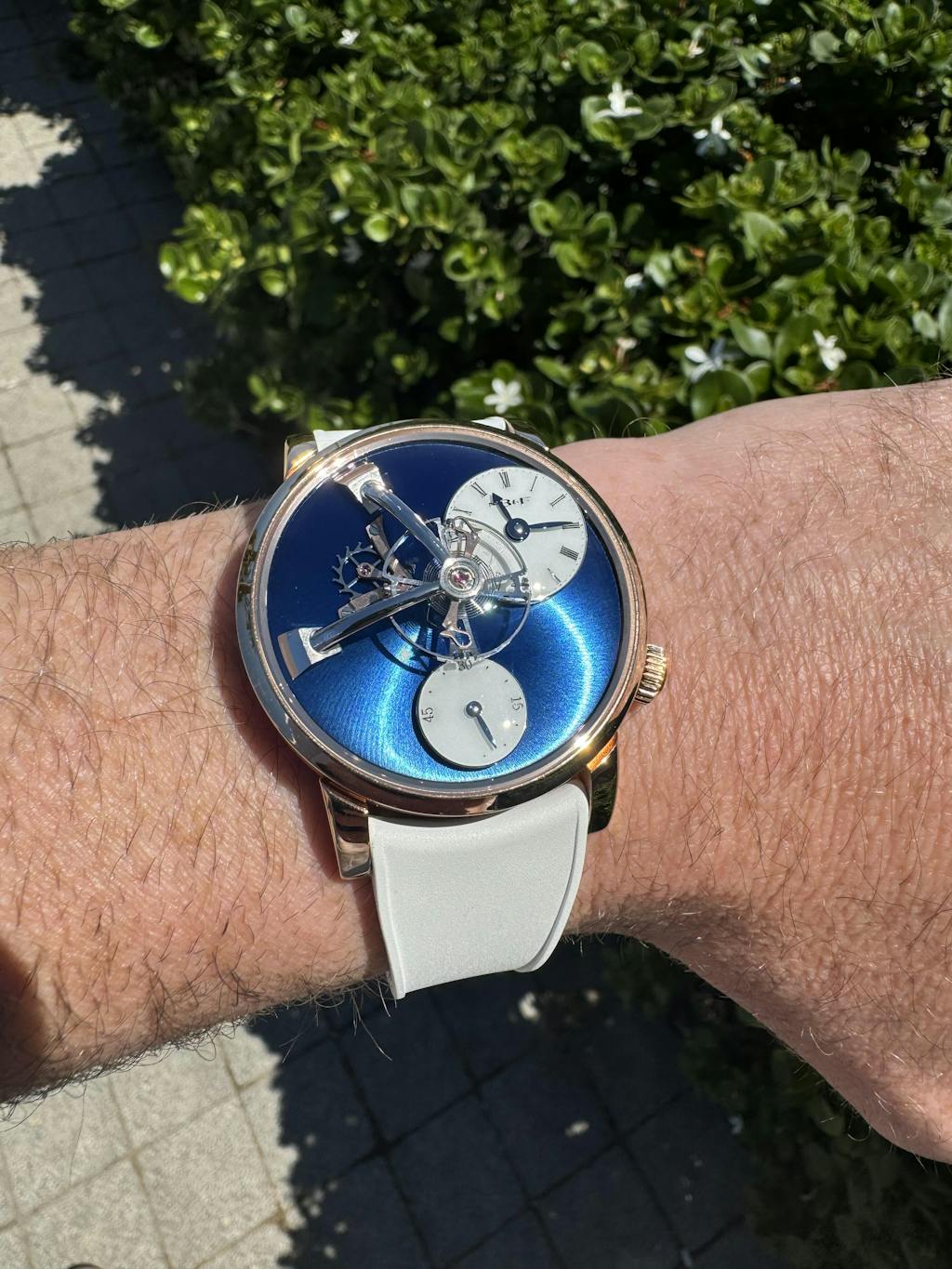 Quick Release Spring Bars (Curved) 1.5mm Delugs