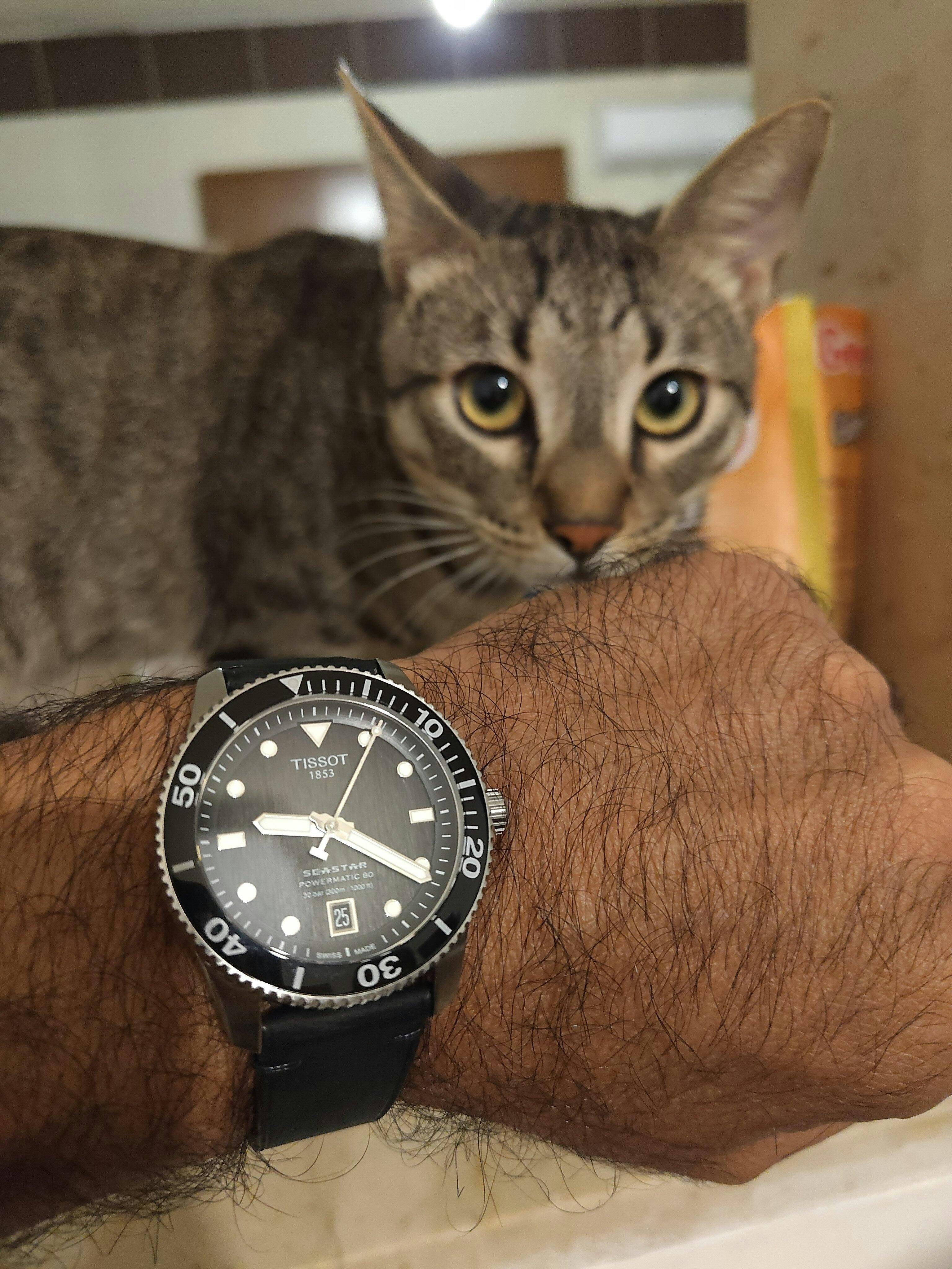 Black Crazy Horse Side-Stitch Strap – Delugs