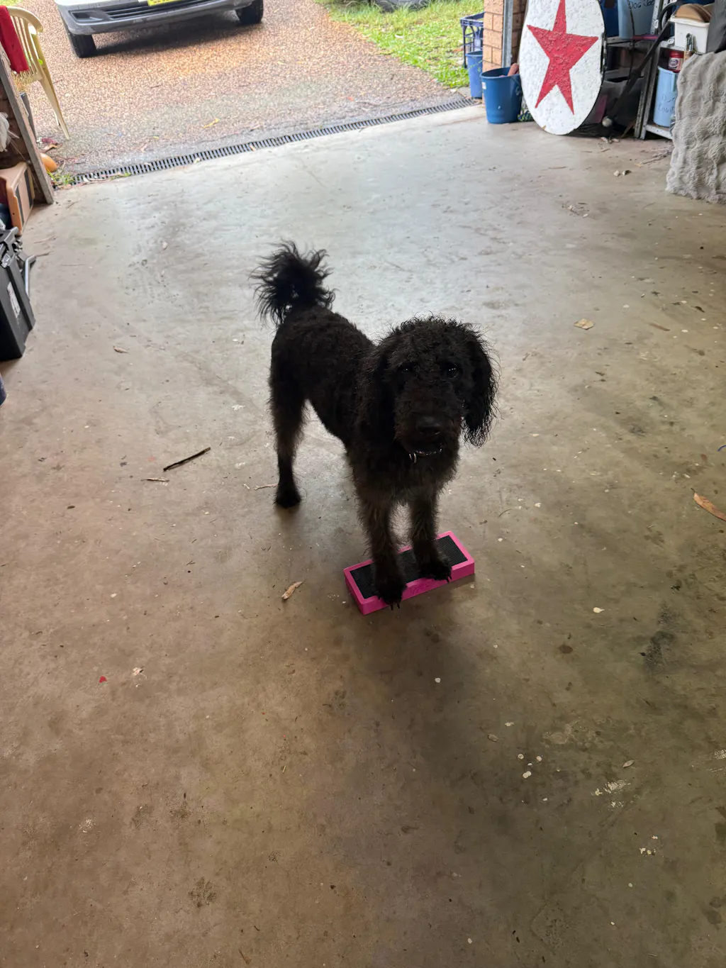 Position Training Bars