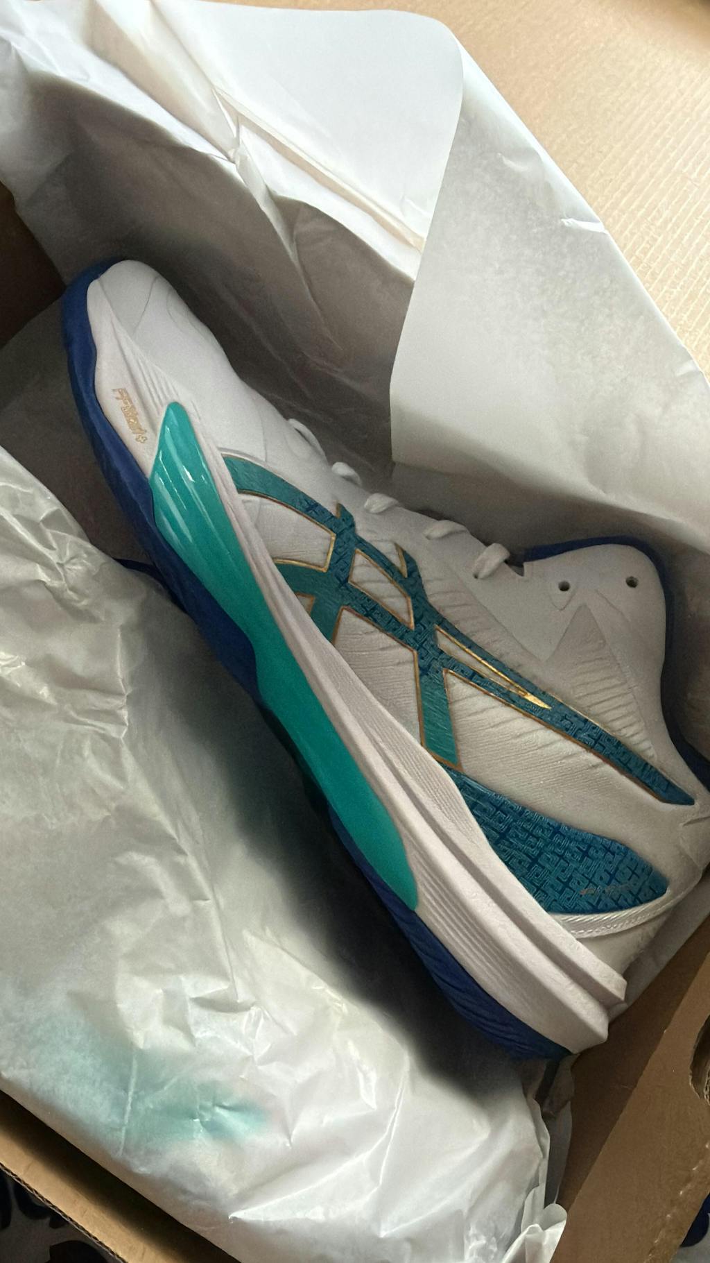 Asics Sky Elite FF MT 3 Men (White/Asics Blue)