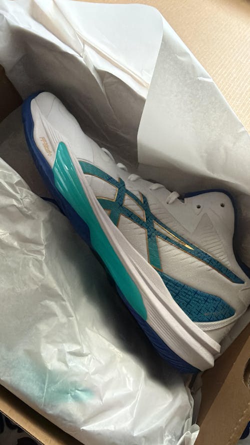 Asics Sky Elite FF MT 3 Men (White/Asics Blue)