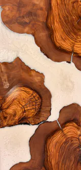 Olive Burl Live Edge Pieces 48"x36"x2" R640