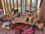 Set of Thin Olive Wood Slices 36"x30"x1" R722