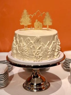 Rustic Silhouette Wedding Cake Topper | Scenic Outdoor Camping Bride & Groom | Custom Cake Topper