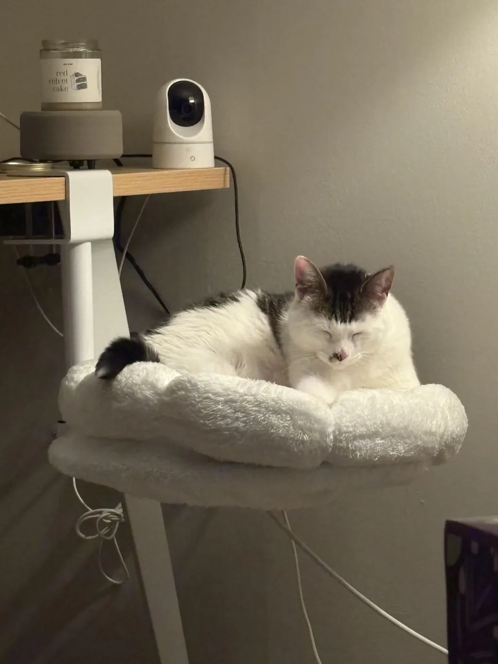 DeskPurrch Cat Bed