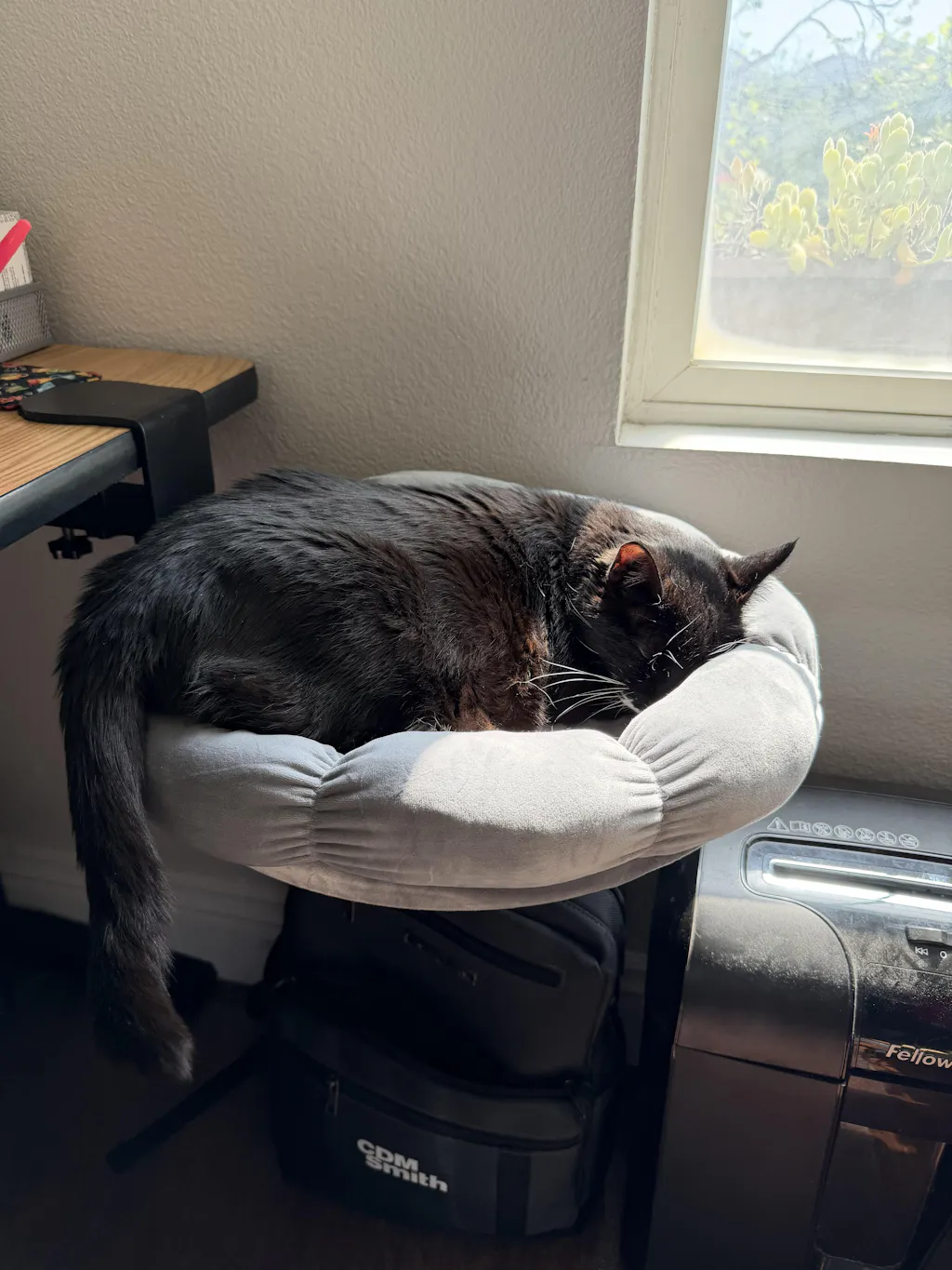DeskPurrch Cat Bed