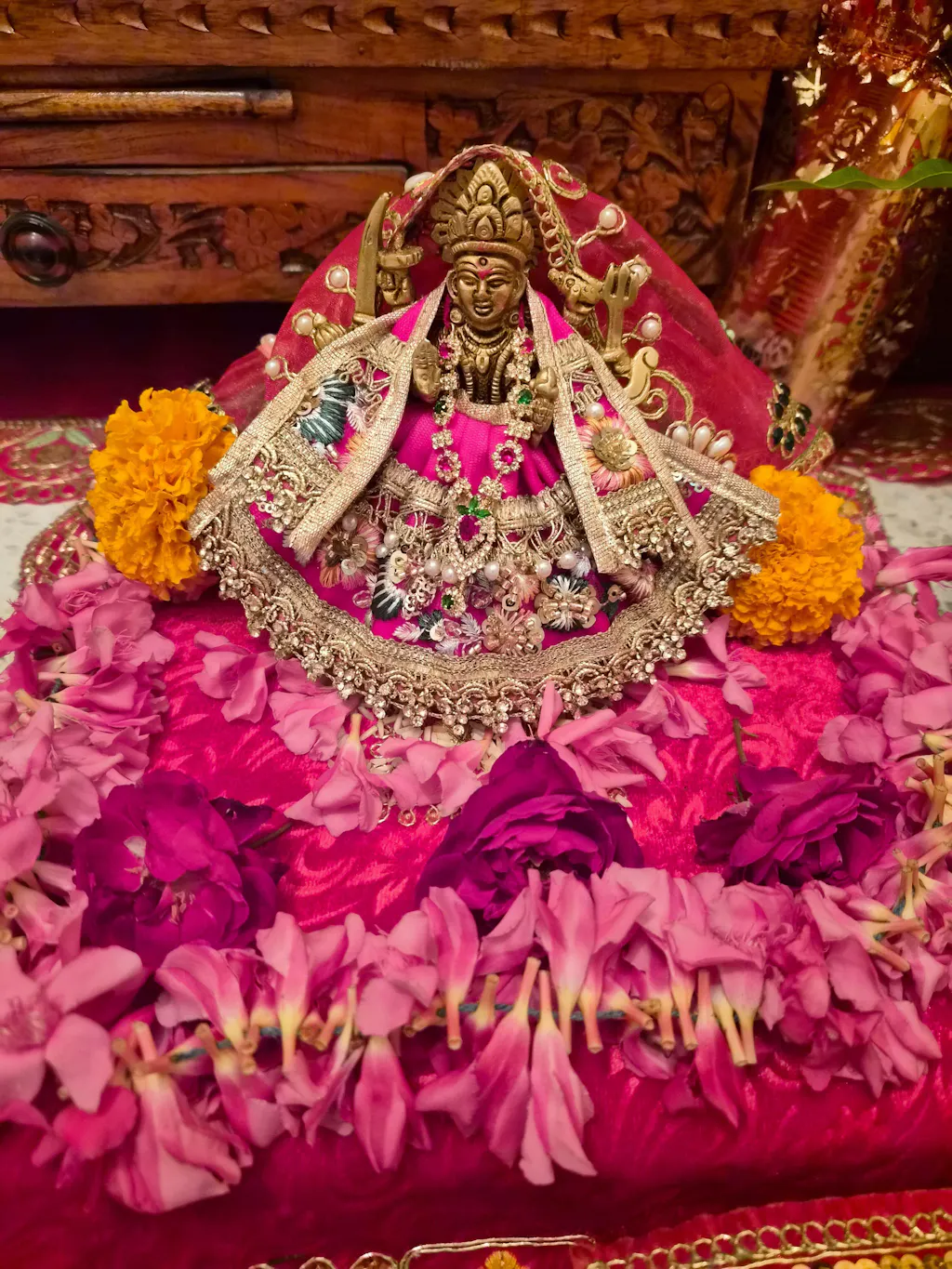 Devi Vilas Mata Rani Dress