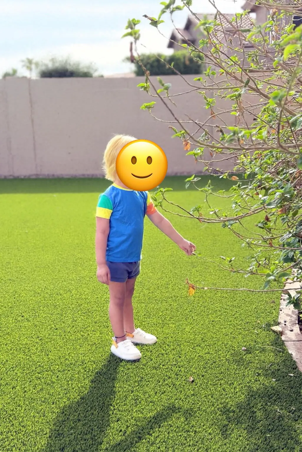 Short Sleeve Colorblock T-Shirt