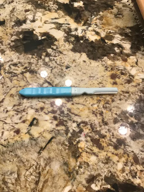 Dermaplaning Razor and Replacement Blades