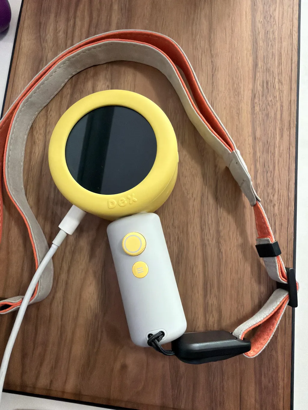 Dex Camera The Language Learning Camera