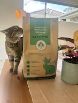Natural Clumping Cat Litter - Tofu & Matcha | 1 x bag (4.7kg) | Vet developed
