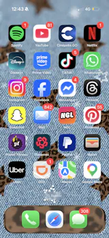 User picture