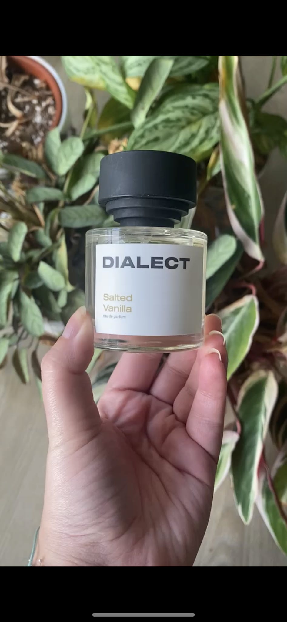 Salty vanilla perfume 2025