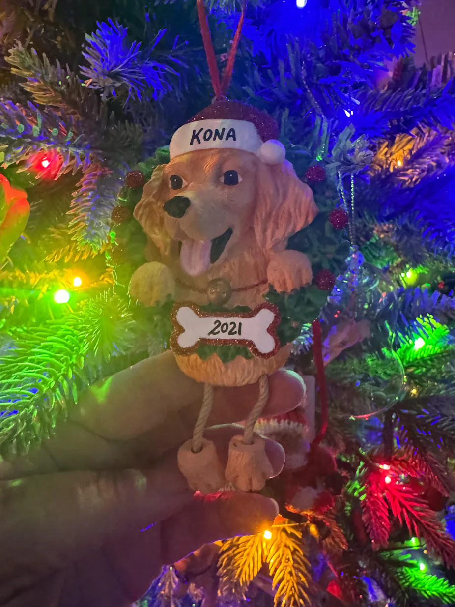 Personalized Dachshund Christmas Ornament - Custom Pet Keepsake For Dog Lovers & Owners