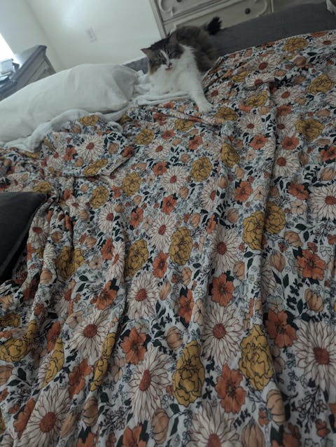 AIRY Daydream Blankets | LUXE 8-Layer Printed Blankets (Ready To Ship)