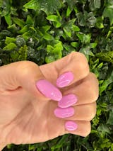 DIPD AUSTRALIA ULTIMATE BUNDLE KIT