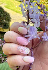 Cottonwood Collection