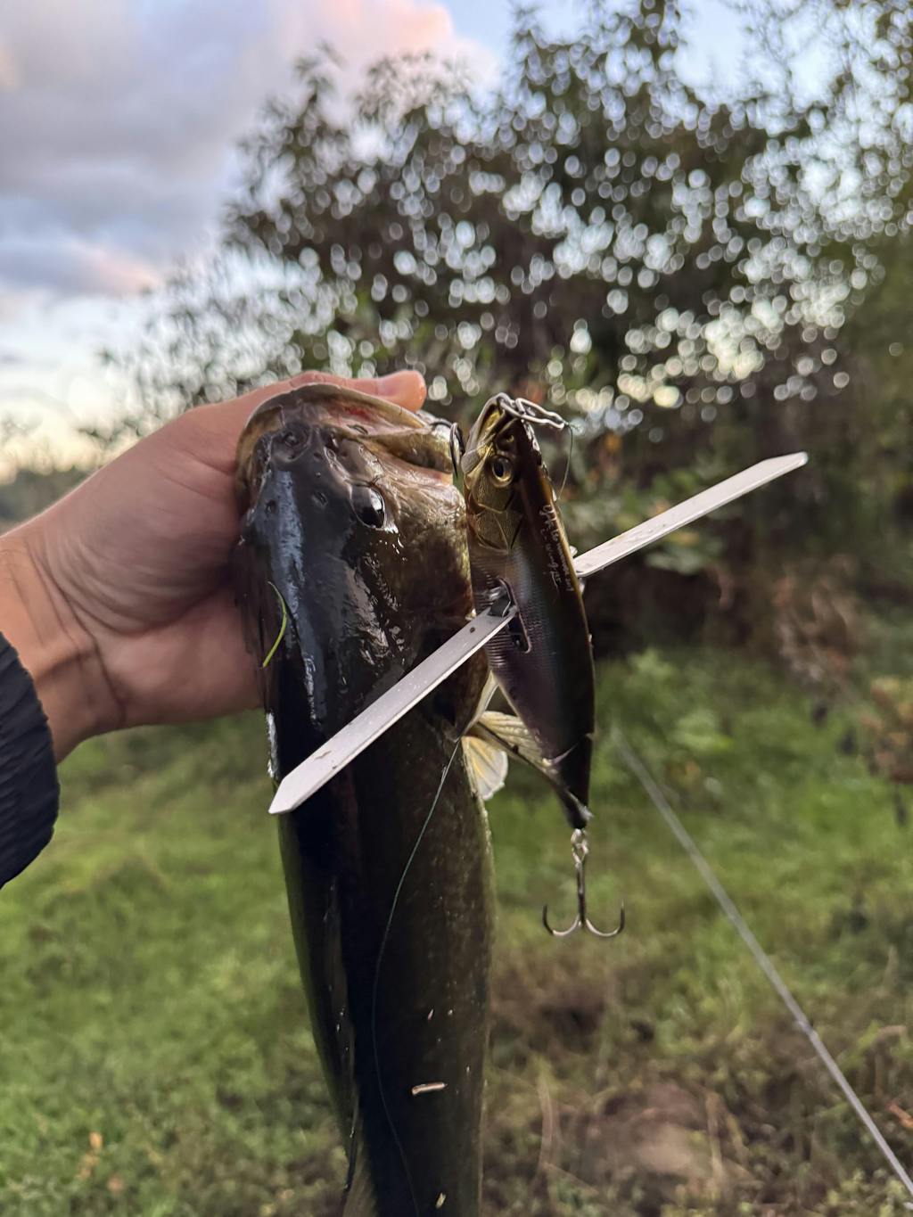 Products — Page 92 — Discount Tackle