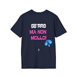 Disinibita Policromia