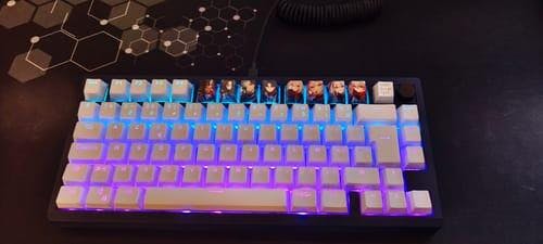 TTC Frozen Silent V2 Mechanical Keyboard Switch – DIYKEY