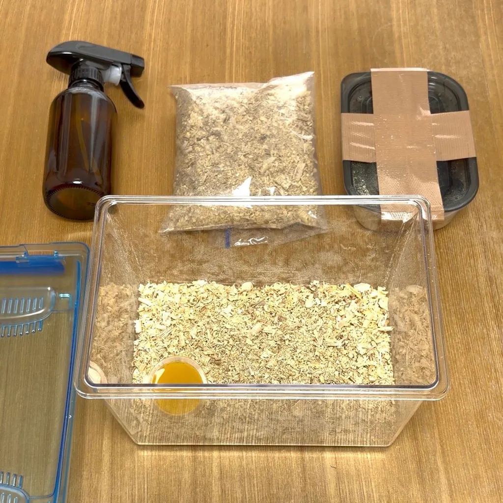 はじめての飼育 安心4点セット – DMM昆虫