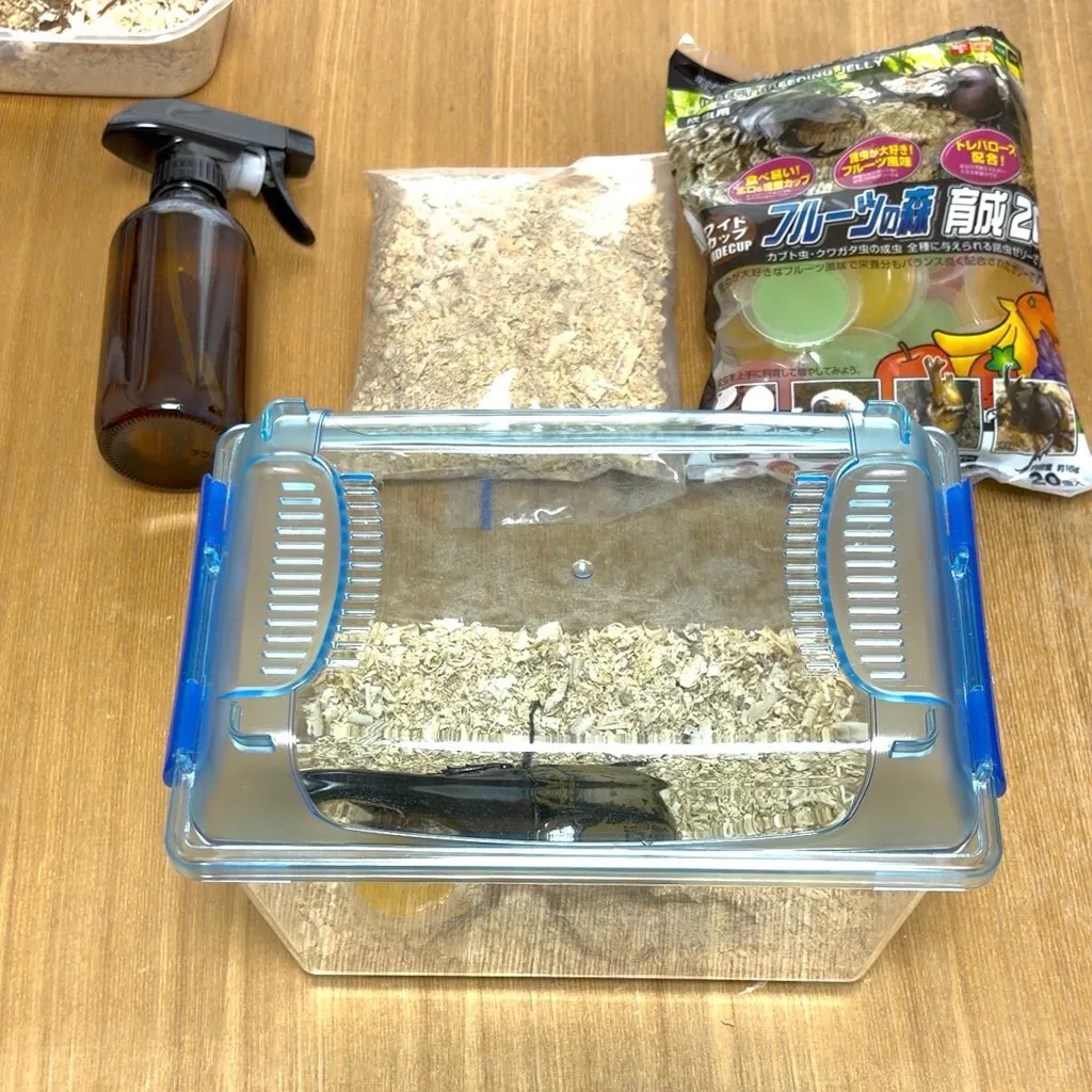はじめての飼育 安心4点セット – DMM昆虫