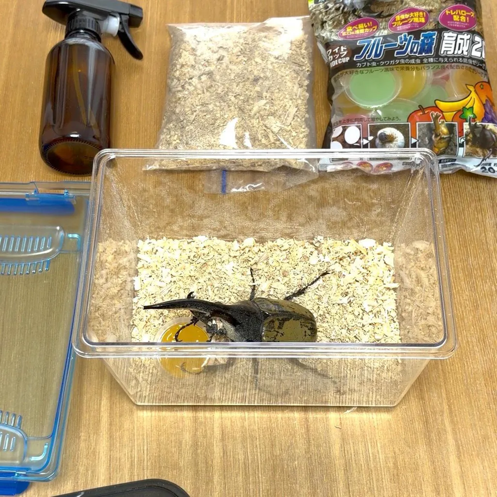 はじめての飼育 安心4点セット – DMM昆虫
