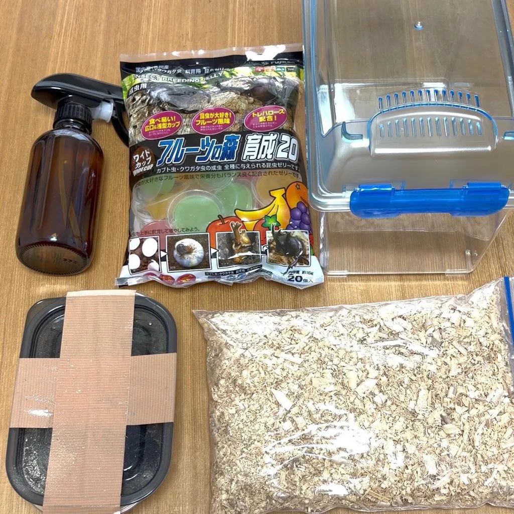 はじめての飼育 安心4点セット – DMM昆虫