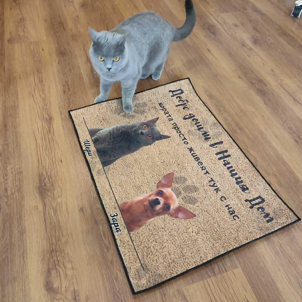 Изтривалка с ваша снимка - хората просто живеят тук