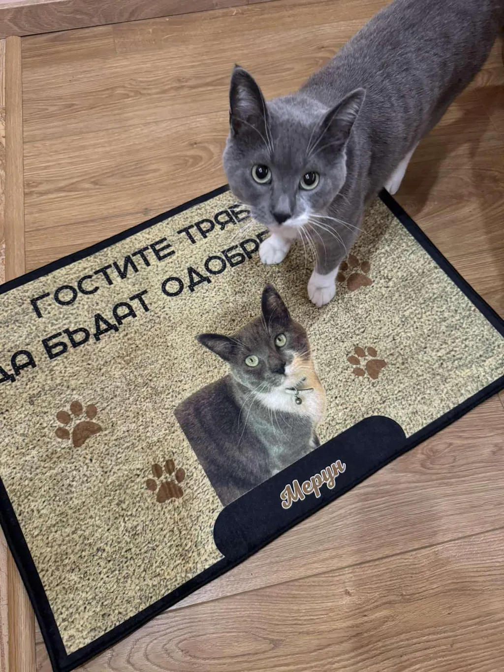 Изтривалка с ваша снимка - гостите трябва да бъдат одобрени