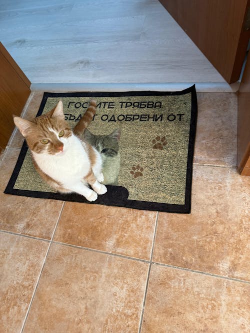 Изтривалка с ваша снимка - гостите трябва да бъдат одобрени