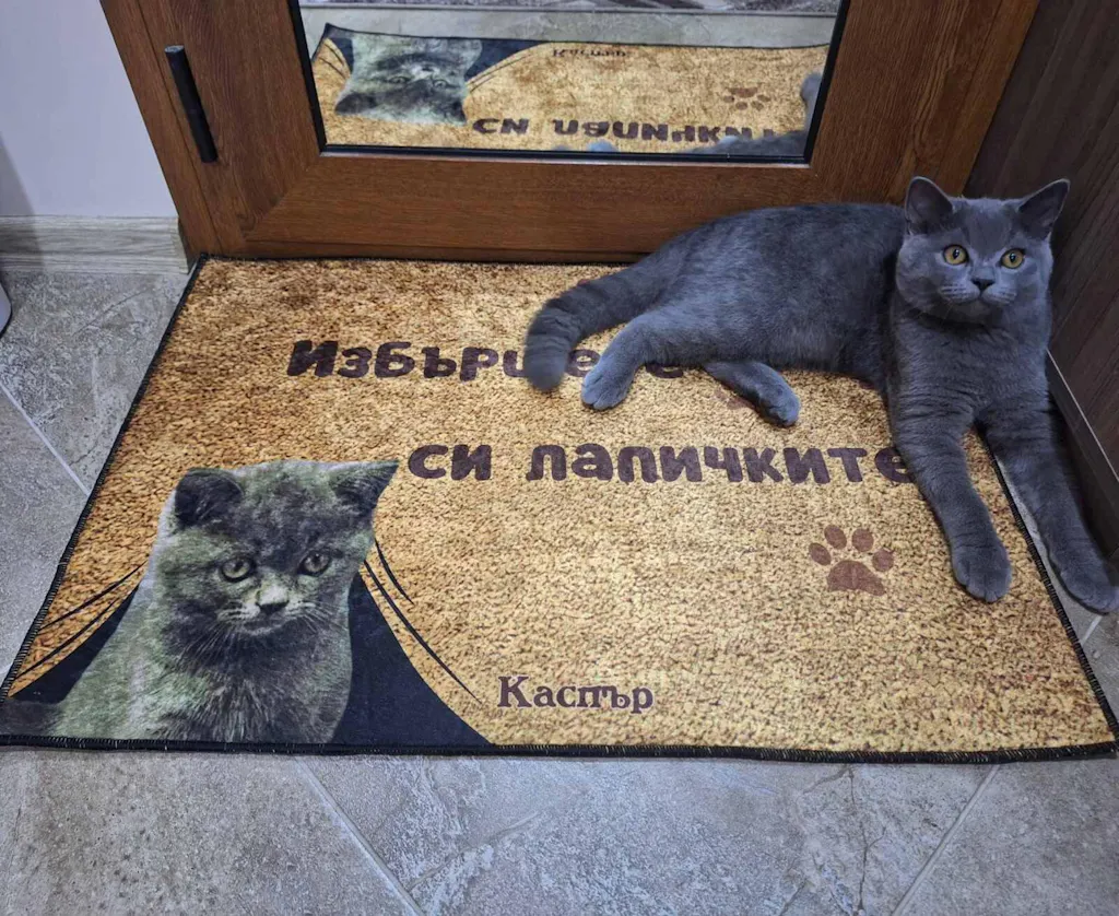 Персонализирана постелка с ваша снимка - избършете си лапичките