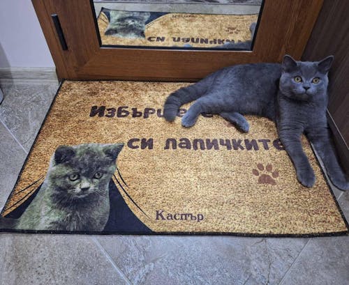 Персонализирана постелка с ваша снимка - избършете си лапичките