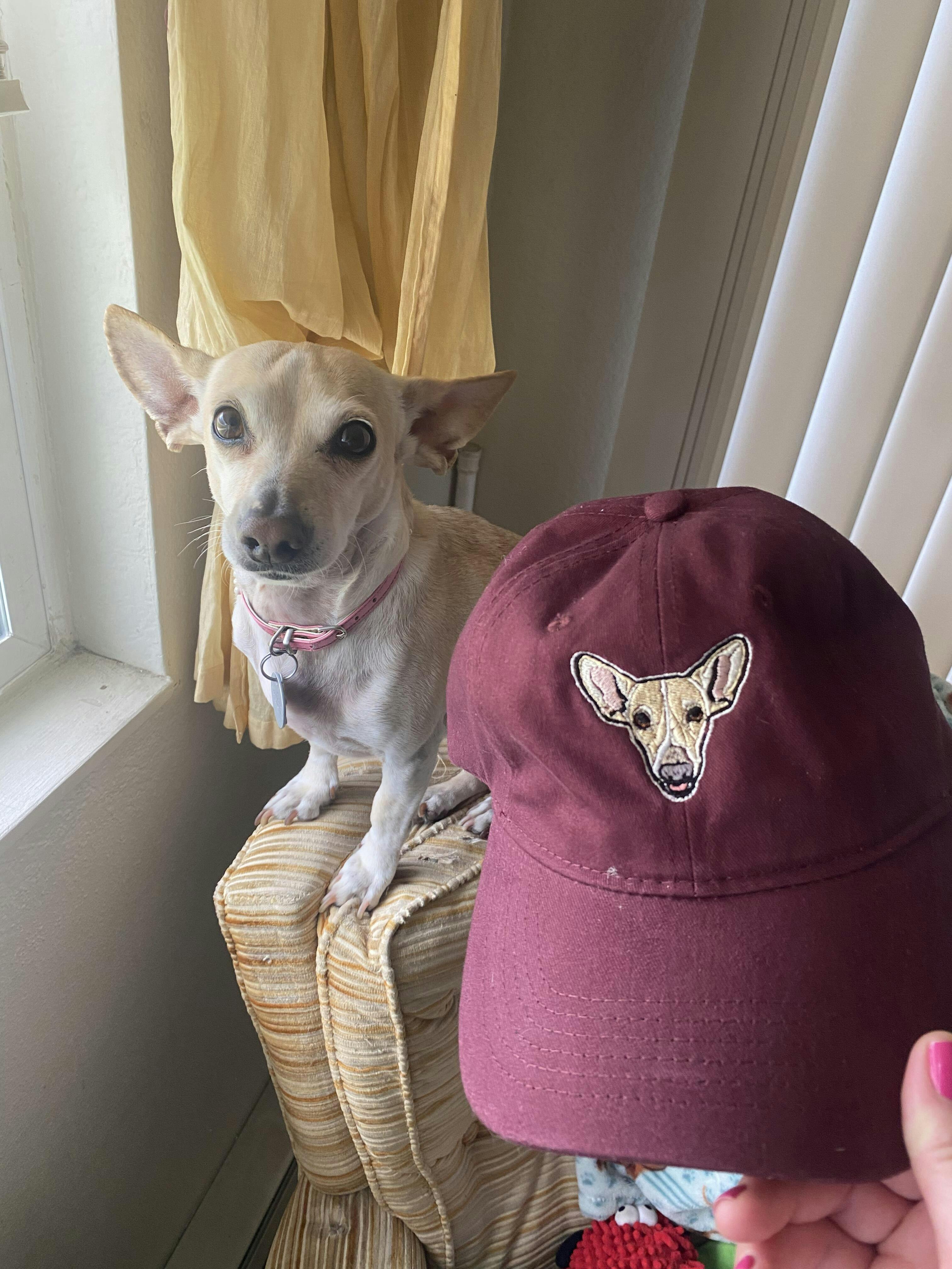 Custom Dog Dad Hats