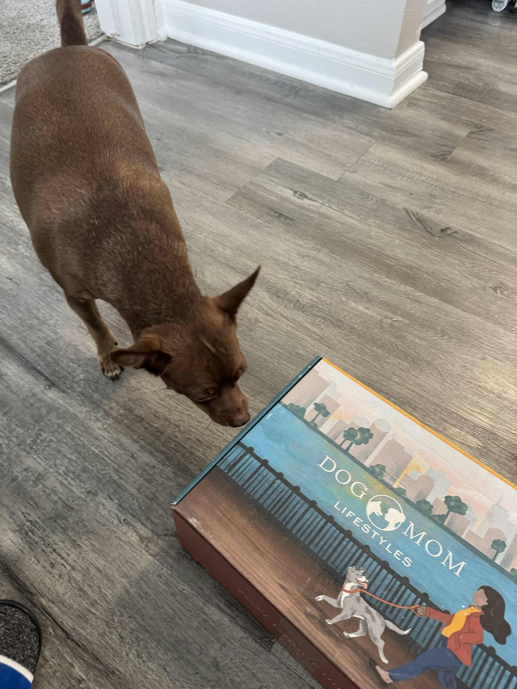 Ultimate Dog Mom Box