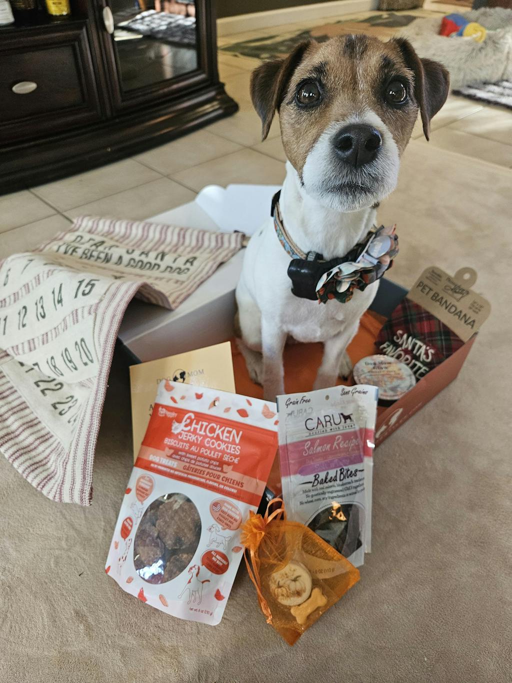 Ultimate Dog Mom Box