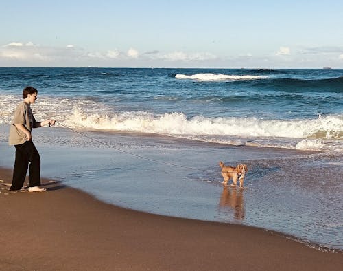 Long Dog Lead 3m/5m/10m/20m